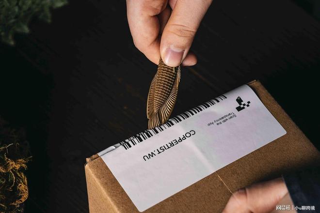 用品独立站给你更大的自由空间冰球突破平台管控太严？情趣(图2)